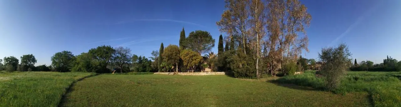 Podere La Fornace Ravi